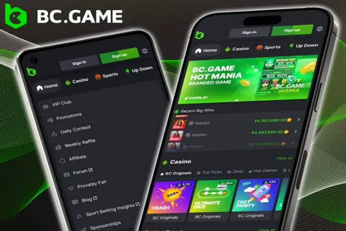 Exploring the Features and Benefits of BC.Game Online Platform
