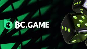 Step-by-Step Guide to the BC.Game Mirror Registration Process